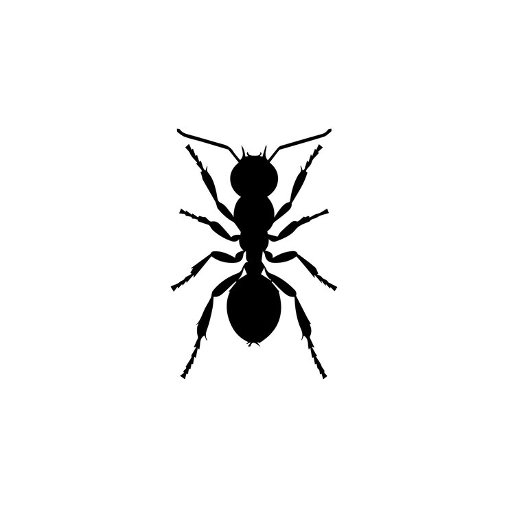 una silueta de hormiga negra está en un fondo blanco