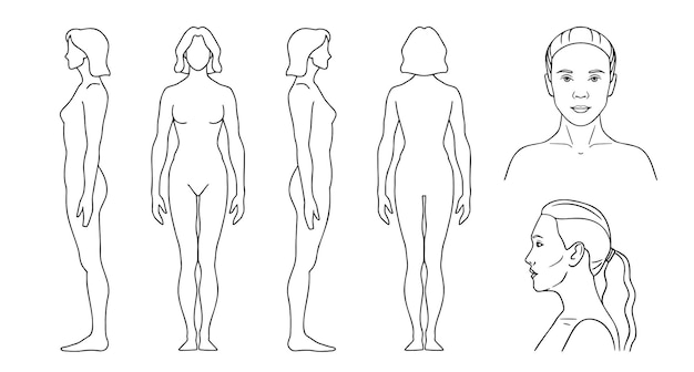 silueta humana mujer contorno plantilla línea vectorial figura de una persona en el frente lado trasero
