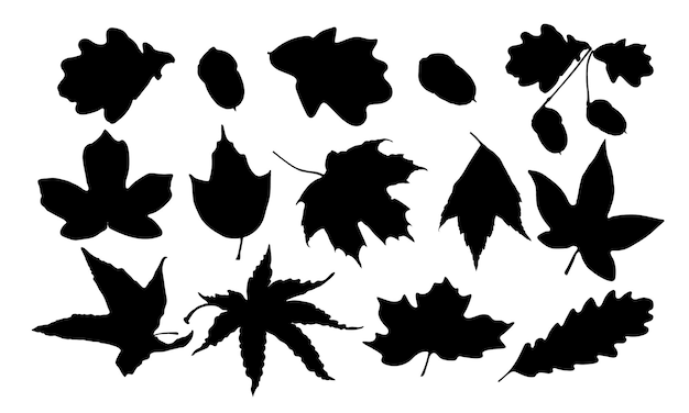 Silueta del icono de la hoja de arce de Canadá El conjunto de hojas de arce del Canadá Las hojas de acero tienen diseños únicos Vector canadiense