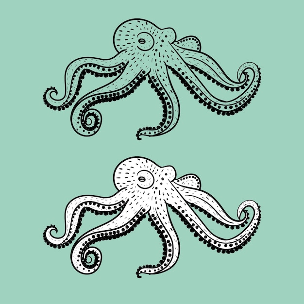 Silueta y ilustración de pulpo vintage en blanco y negro