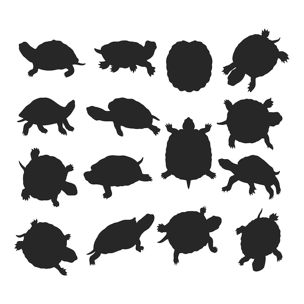 silueta Ilustración de tortuga Colección de vectores de tortuga Natación Ocultamiento Caminar