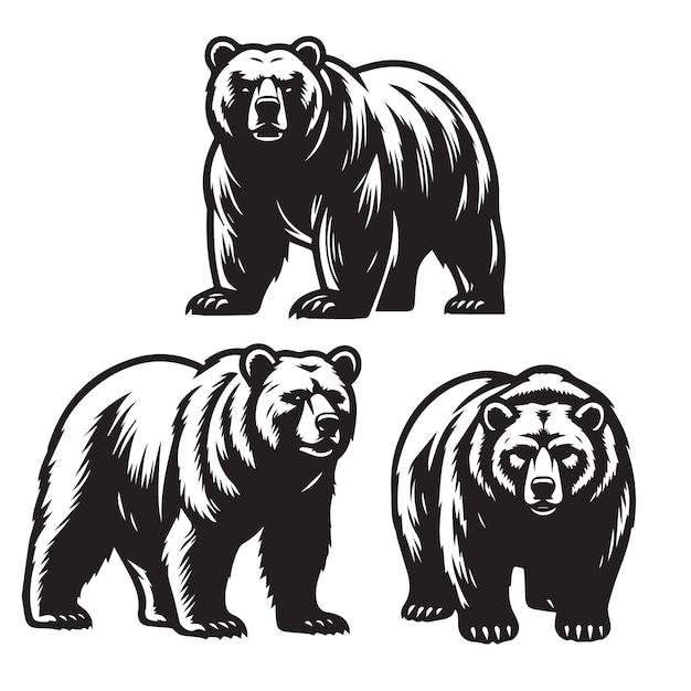 silueta de la ilustración vectorial de los osos