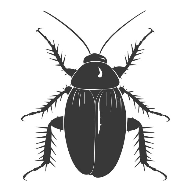 Vector silueta insecto cucaracha animal color negro sólo todo el cuerpo