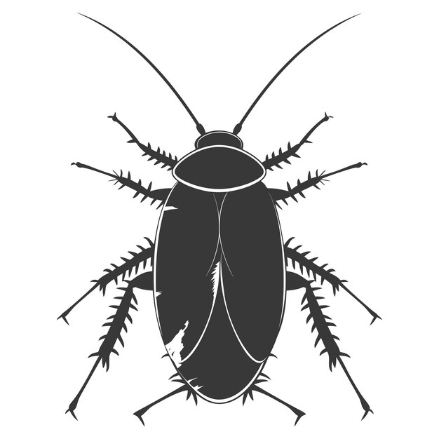 Vector silueta insecto cucaracha animal color negro sólo todo el cuerpo