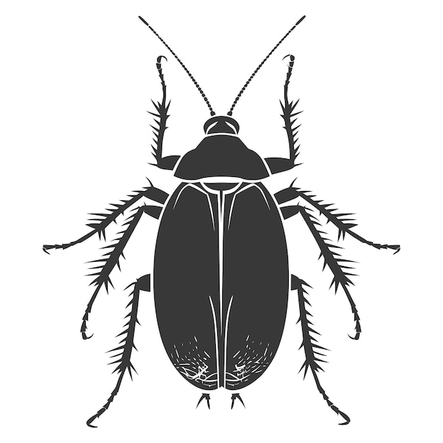 Vector silueta insecto cucaracha animal color negro sólo todo el cuerpo