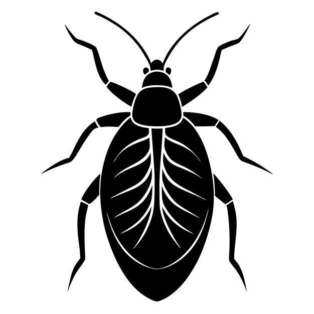 Silueta de un insecto negro
