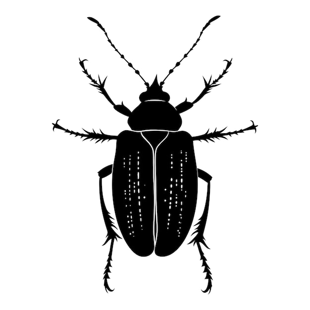 Vector silueta de insecto o insecto cuerpo entero color negro sólo