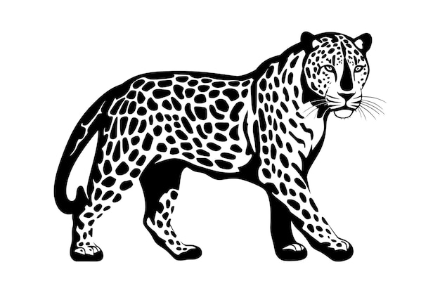 Silueta de jaguar aislada en una ilustración vectorial de fondo blanco