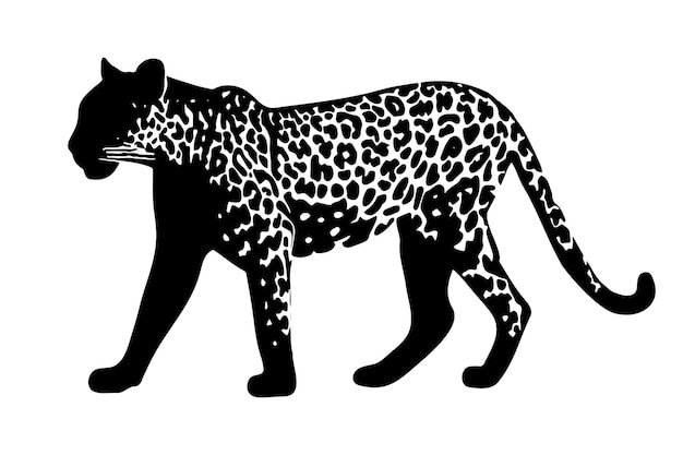 Silueta de jaguar aislada sobre un fondo blanco Ilustración vectorial