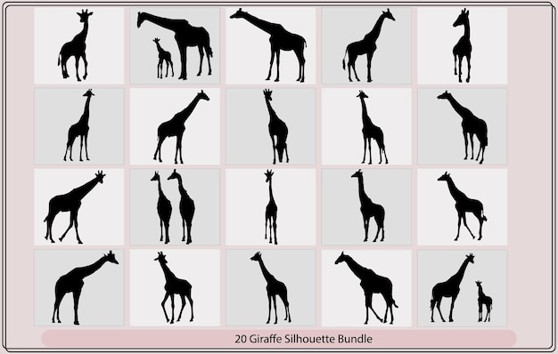 Silueta de una jirafaConjunto de siluetas vectoriales de jirafassilueta de dibujo vectorial de una jirafa