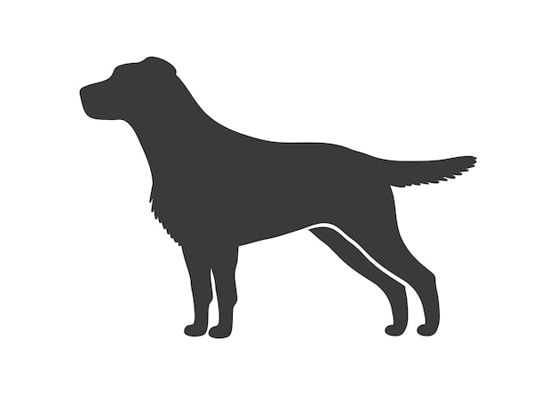 Silueta de labrador retriever. Puntero, divertido, perro, compañero, vector, icono