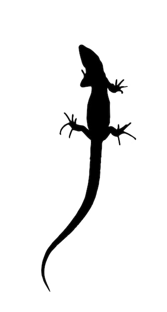 Silueta de un lagarto que se arrastra. Ilustración de vector aislado. EPS10