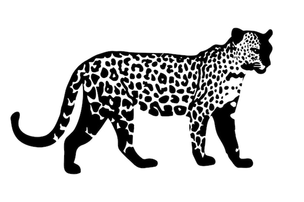 Silueta de leopardo aislada sobre un fondo blanco Ilustración vectorial