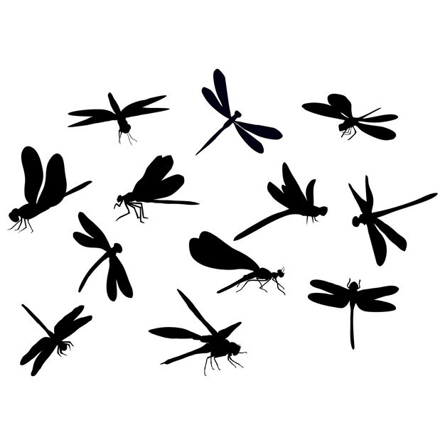 silueta de libélula o insecto negro