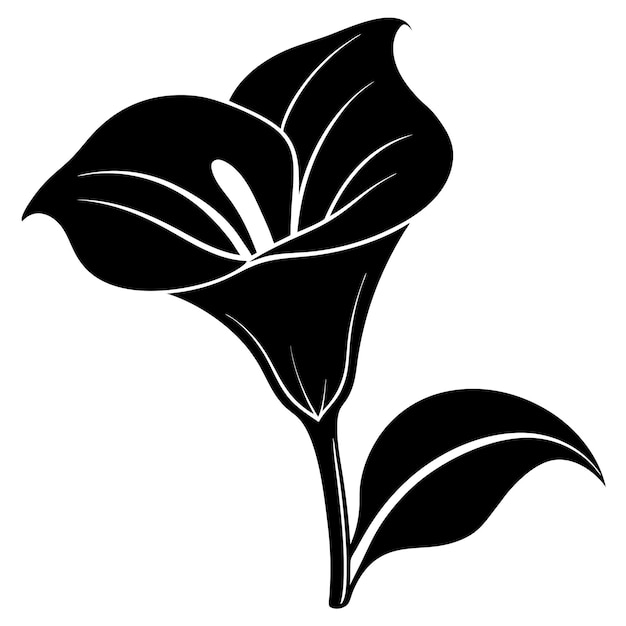 Silueta de lirio de calla