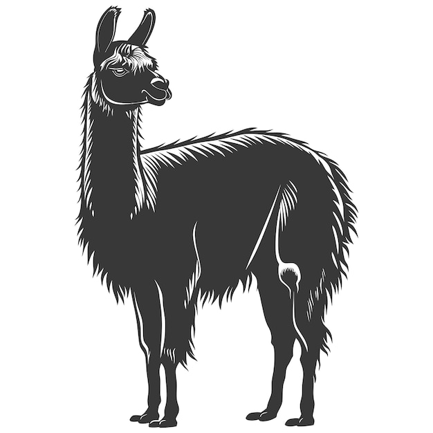 Vector silueta llama animal color negro sólo todo el cuerpo