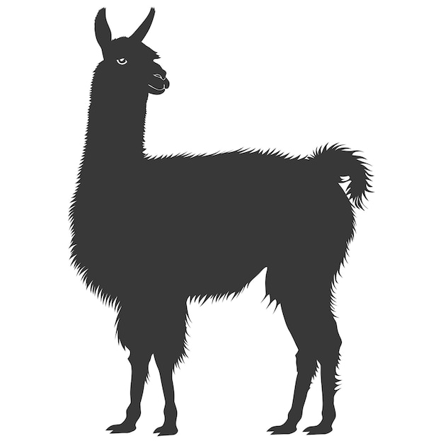 Vector silueta llama animal color negro sólo todo el cuerpo