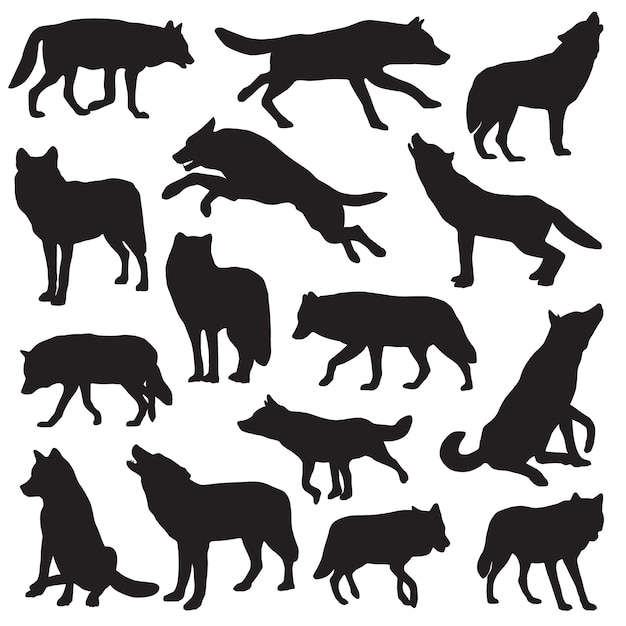 Silueta del lobo