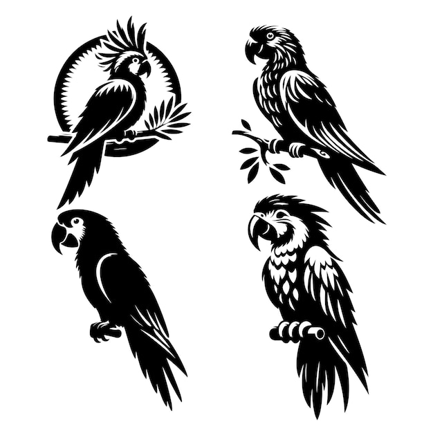 Silueta de loro aislada sobre un fondo blanco