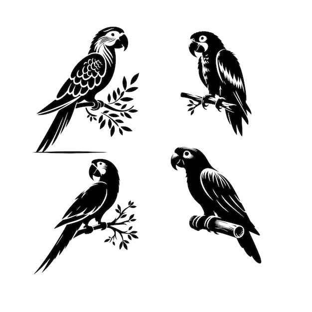 Silueta de loro aislada sobre un fondo blanco