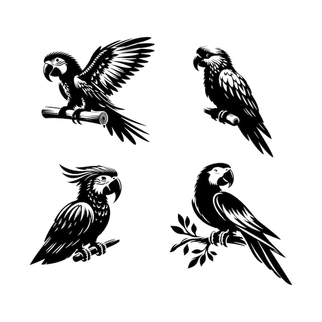 Silueta de loro aislada sobre un fondo blanco
