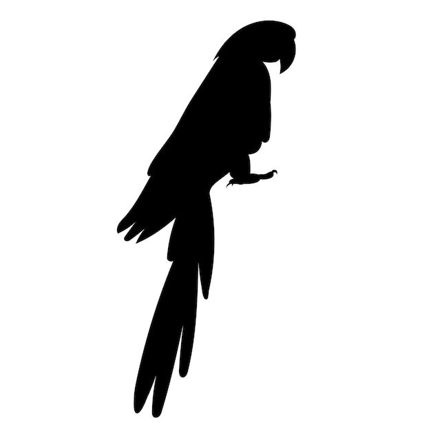 Silueta de loro en fondo blanco vector aislado