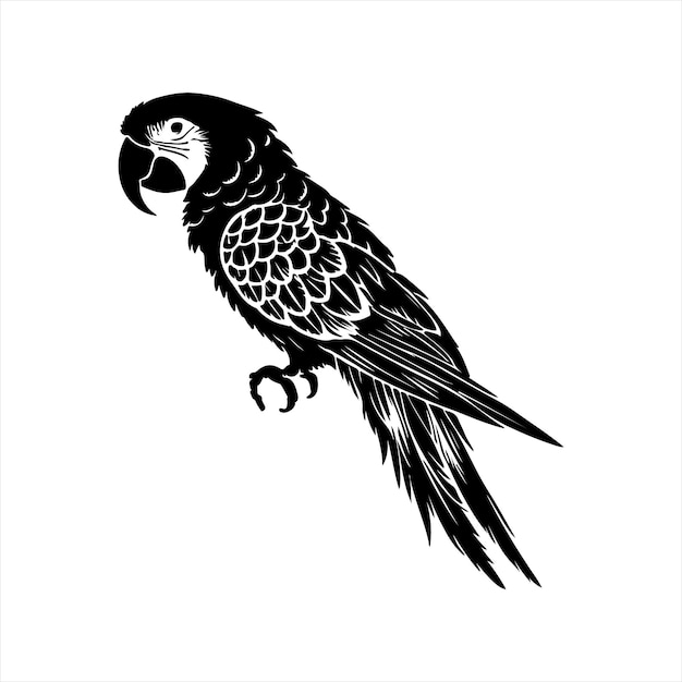 Silueta de loro del guacamayo