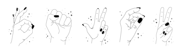 Silueta de manos mágicas femeninas con estrellas