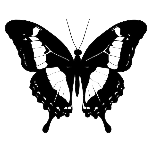 Silueta de mariposa monarca aislada sobre fondo blanco Ilustración vectorial