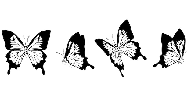 Silueta de mariposa en vector de 4 opciones en fondo aislado