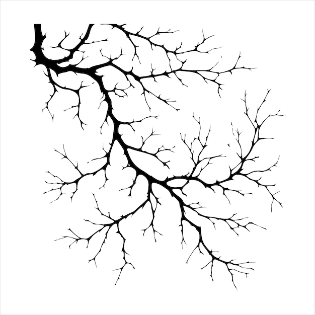 Silueta mínima de ramas vectoriales de árboles desnudos Árbol muerto aislado en fondo blanco