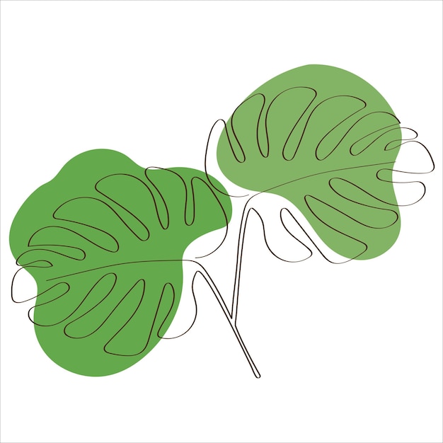 Vector silueta de monstera flower one line