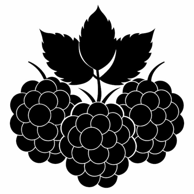 silueta de las moras vectorial silueta de color negro