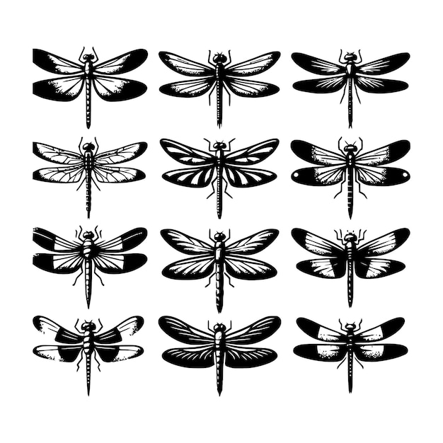 La silueta de la mosca dragón