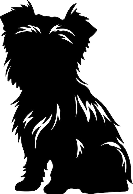 Silueta negra de Affenpinscher con fondo transparente