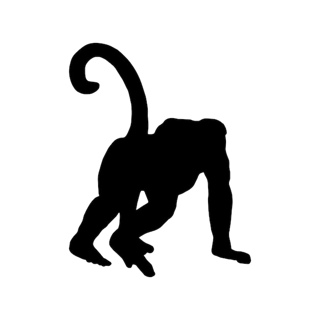 silueta negra aislada de un mono