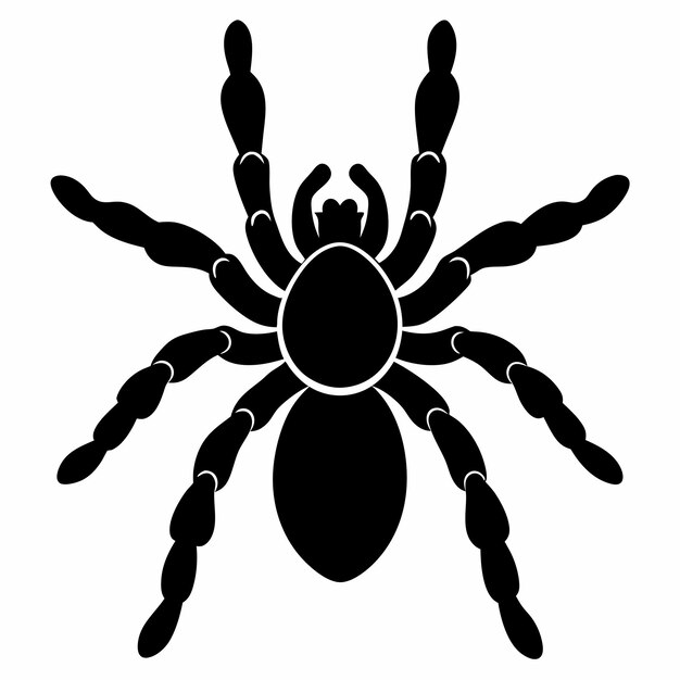 Silueta negra de una araña con ocho patas