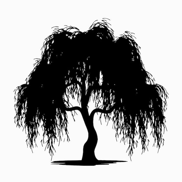 silueta negra de árbol de sauce aislado fondo blanco