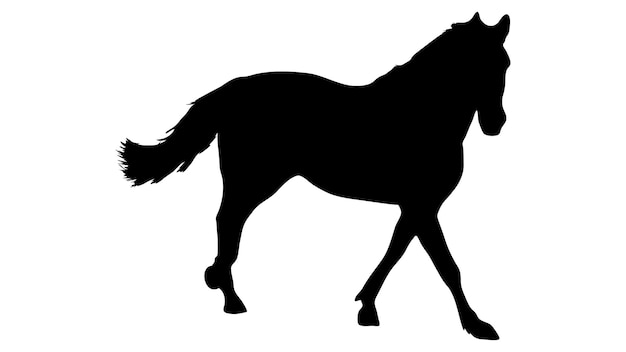 Silueta negra de caballo Hermoso diseño de vector de caballo criando caballo Vector de silueta de caballos