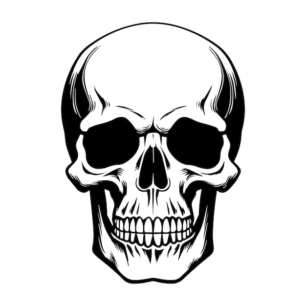 Silueta negra de un cráneo humano Ilustración vectorial aislada sobre un fondo blanco Halloween