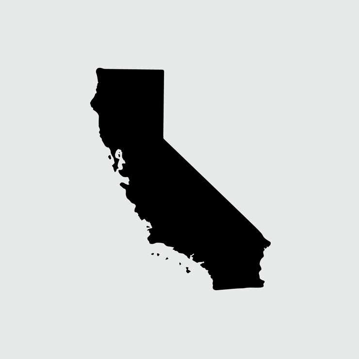 Vector la silueta negra del estado de california