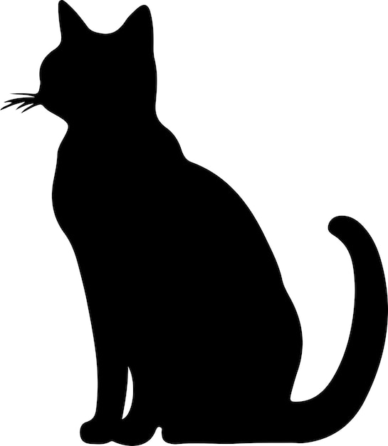 Silueta negra de gato europeo de pelo corto con fondo transparente
