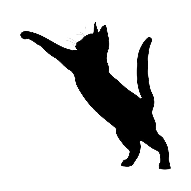 Silueta negra de un gato sobre un fondo blanco.