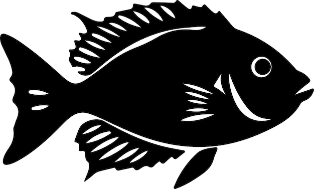 Vector la silueta negra de john dory con un fondo transparente