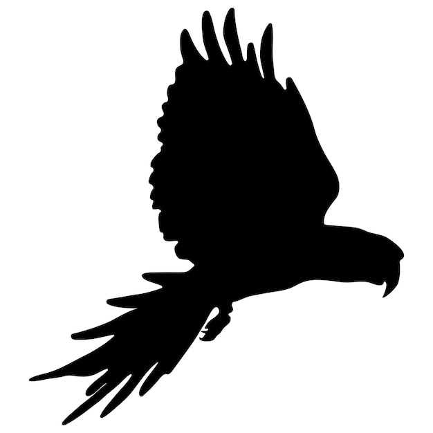 Silueta negra de un loro sobre un fondo blanco.
