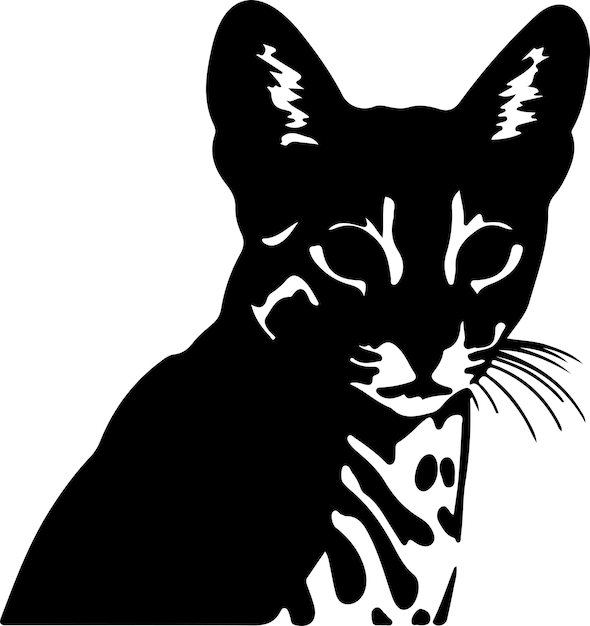 Vector silueta negra de ocicat cat con fondo transparente