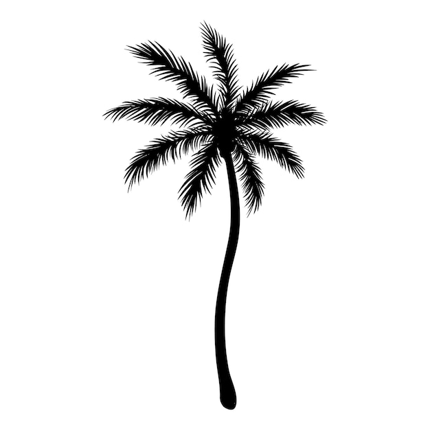 silueta negra de una palmera aislada sobre un fondo blanco