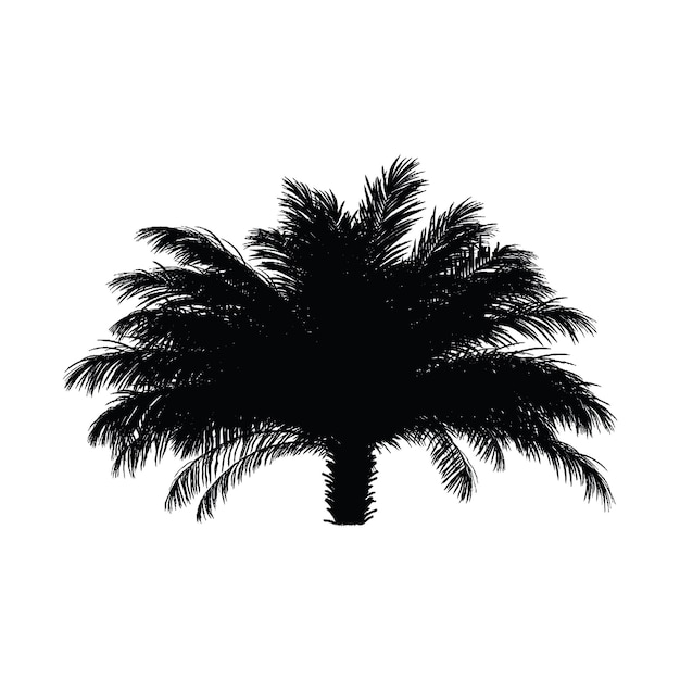 Vector una silueta negra de una palmera con la palabra palma en ella.