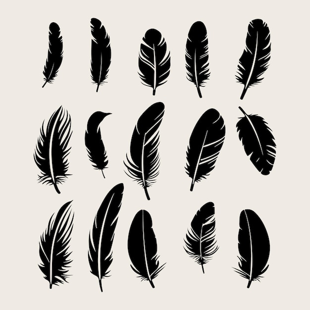 Silueta negra de plumas Con la mano dibujando un boceto de iconos de plumas