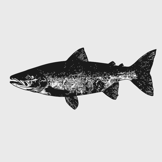 silueta negra de un salmón del Atlántico